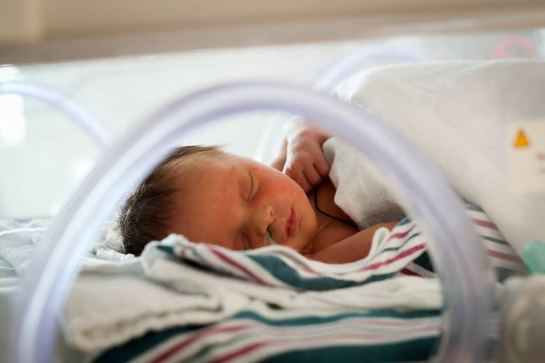 Newborn asleep in a hospital incubator during the first days.
